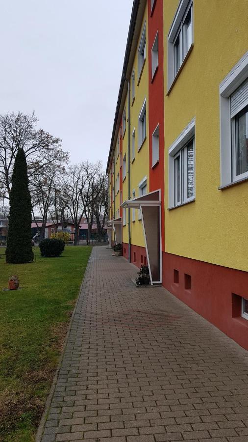 Ferienwohnung Lion Ошерслебен Екстериор снимка